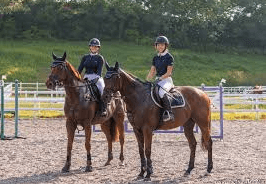 Mastering the Art of Horse Riding: A Journey of Elegance and Connection