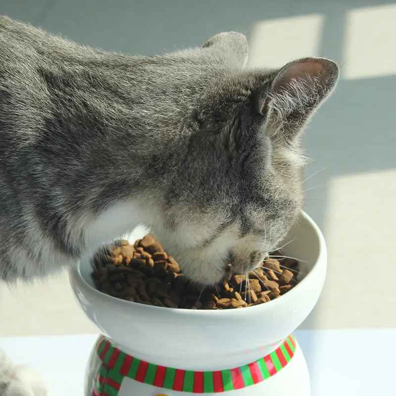 Why choose grain-free cat food? Is it better?