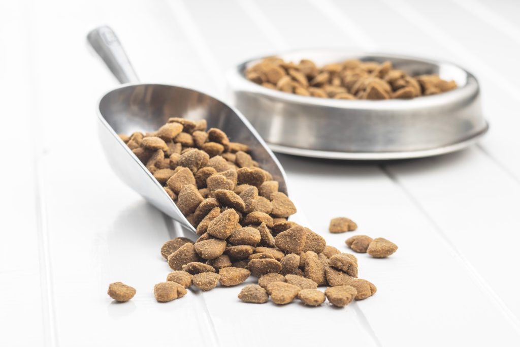 Private Label Pet Treat Manufacturing: What to Look For